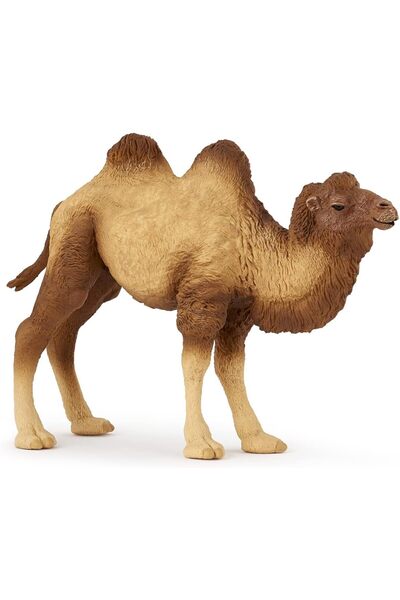Papo تمثال جمل ذو سنامين مطلي يدويًا من مملكة الحيوانات البرية 50129