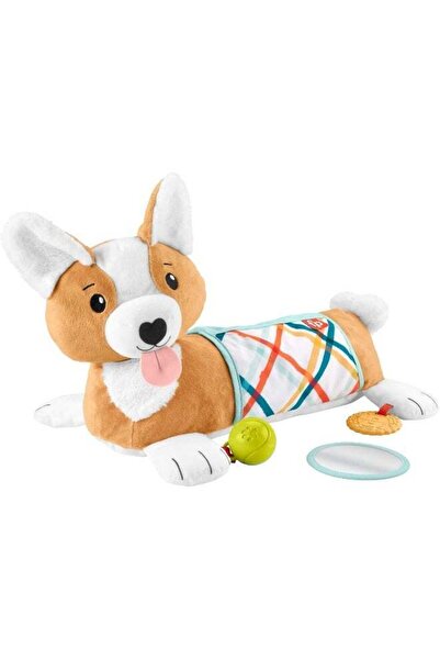 Generic Fisher- 3-in-1 Puppy Tummy Wedge with BPA-Free Teether and Mirror Toys