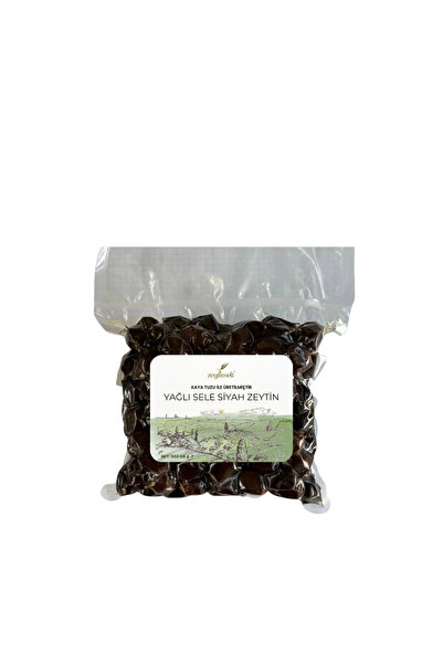 Zeytinseli Zeytincilik Zeytinseli Gemlik Cinsi Kaya Tuzlu Mısırözü yağlı Siya...