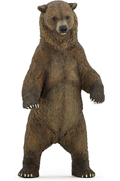 Papo مجسم مملكة الحيوانات البرية 50153 - دب رمادي (متعدد الألوان، صغير)