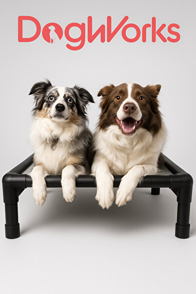 Dogworks Yükseltilmiş Köpek Yatağı – Hava Alan Kumaş, Kemirmeye Dirençli Prem...