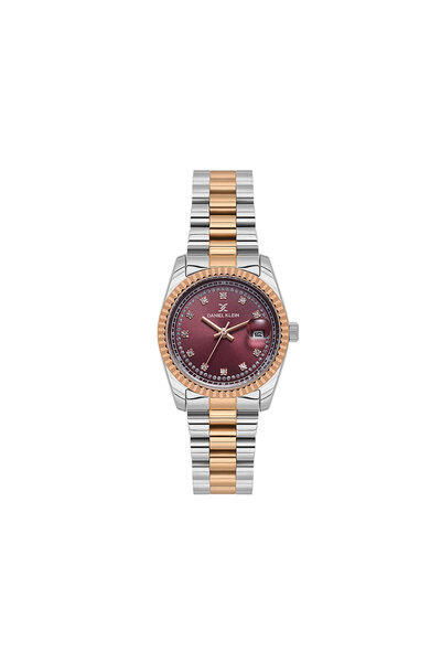 Daniel Klein Premium ladies watch DK.1.13924.6