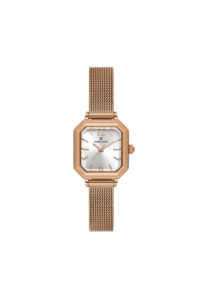 Daniel Klein Premium ladies watch DK.1.13945.6