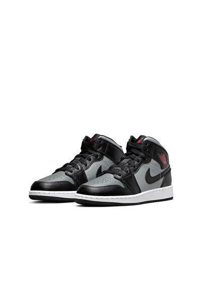 JORDAN 1 Umbră medie