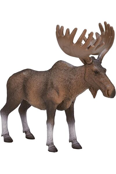 MOJO مجسم لعبة واقعي مرسوم يدويًا لحيوان الموظ (الأيل الأوروبي) من إنتاج شركة عالمية للحياة البرية