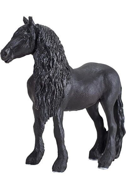 MOJO حصان فريزيان مخصي