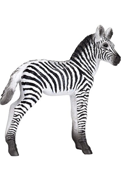 MOJO Zebra Foal Wildlife Animal Model Toy Figure