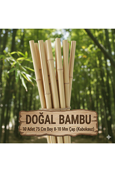TROPİKYUM DOĞAL BAMBU 10 Adet 75 Cm Boy 8-10 Mm Çap (Kabuksuz)
