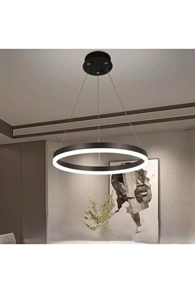 OEM LED Pendant with Remote Control Adjustable Light 3000K–6500K Ephora