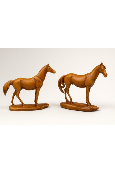 OEM Set 2 cai Equaris