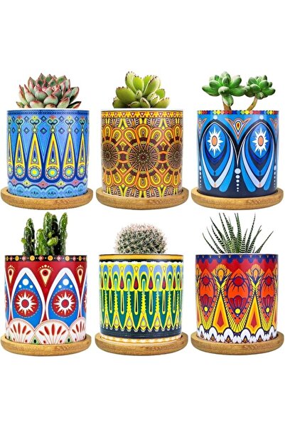 Generic Mandala Succulent Pots with Drainage Holes & Bamboo Saucers - 6 Pack (Multicolor)