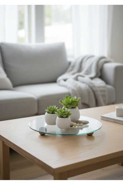 Online Home Market حامل عرض زجاجي دائري بقطر 25 سم مع قاعدة خشبية ومسامير للت...