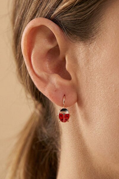 Söğütlü Silver 925 ayar gümüş küpe rose kırmızı mineli çengelli uğur böceği k...