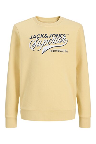 Jack & Jones Junior Sweatshirt Sweatshirt Mini