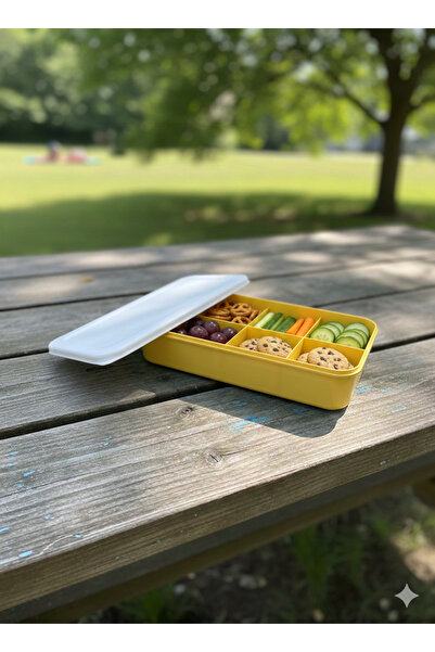 Ark 6-Compartment Rectangular Storage Container Colorful