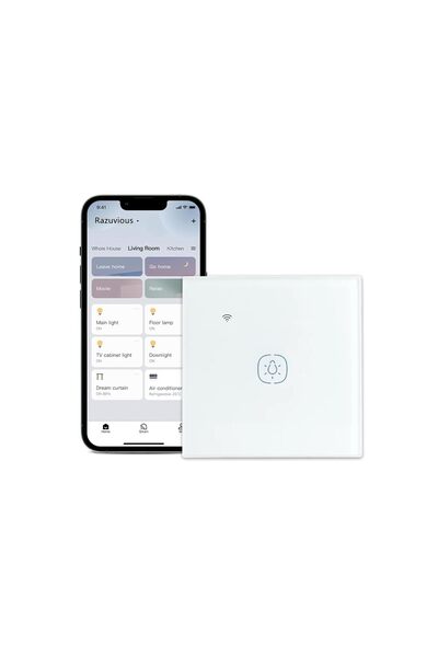 Generic Matter Smart Light Switch