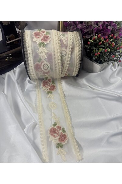 jasmina store renkli nakış işlemeli tül üzeri çıtır şerit dantel