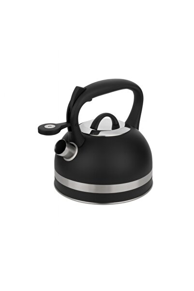 Zilan stainless steel whistling kettle, 3 L, wide base, black (ZLN 1283)