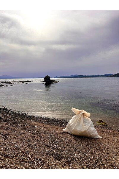 Packoala Çöp Torbası | %100 Bitki Bazlı & Kompostlanabilir | Sızdırmaz Dayanı...