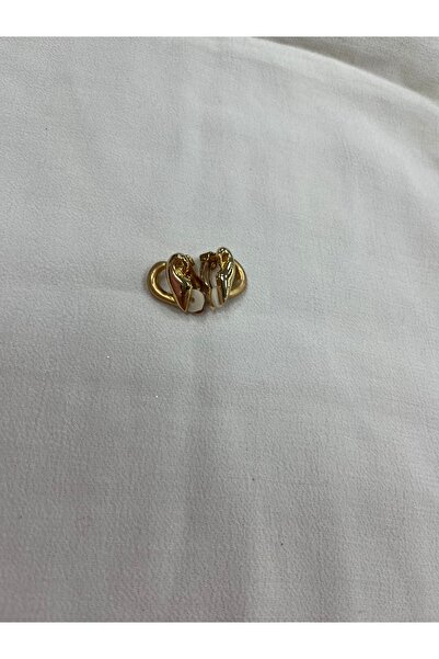 ÇELİKSİLVERTAKI Stylish Magnet Earrings with Clamps for Non-Perforated Ears