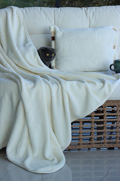 CAKKATEX Teddy Plush Throw Pillow | Wellsoft Blanket Cushion Set