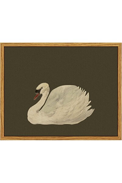 ALAYRA International Framed Vintage Canvas 30x40 cm, Minimalist Oil Painting,...