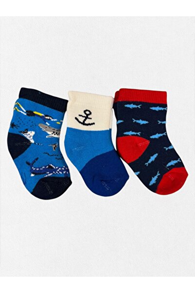 Fil Kids Baby Boy Winter Socks Cotton Fabric 3-Piece Navy Blue White Shark Pa...