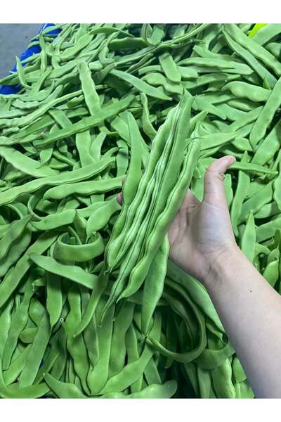 Granbusa Ayşe Kadın Taze Fasulye 500gr