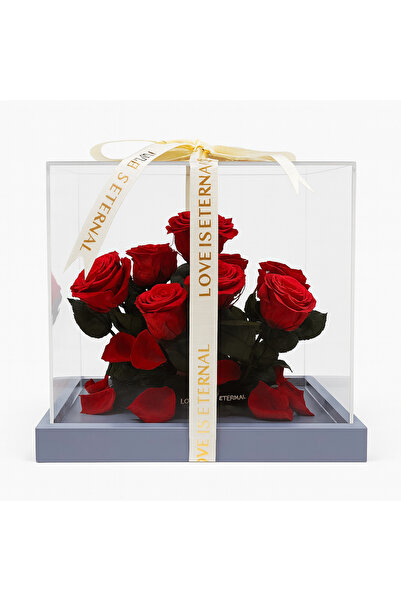 OEM Premium Box with 9 Red Cryogenic Roses 30x25x18 cm Love Is Eternal