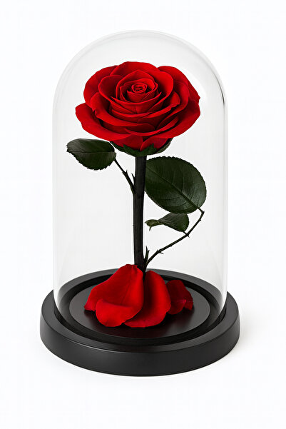 OEM Red Cryogenic Rose under Glass Dome with Black Stand 18x12 cm Premium