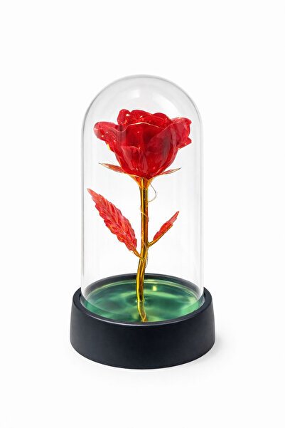 OEM Eternal Red Rose in Plastic Dome 15 cm LED Lights – Batteries Included Romantic Decor