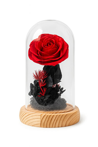OEM Glass Dome with Red Cryogenic Rose 12.5x9 cm on Wooden Base Elegant Gift