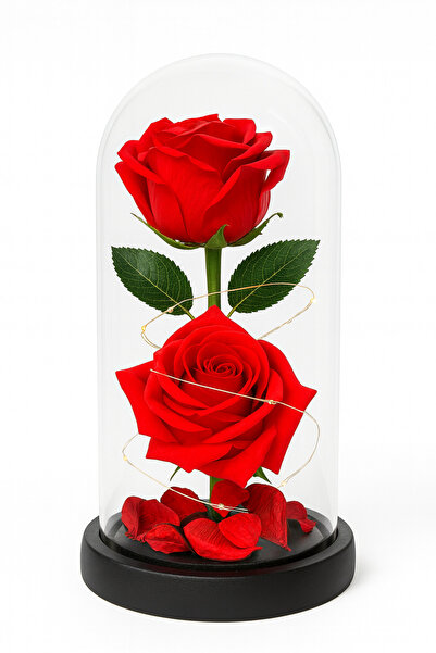 OEM Glass Dome with 2 Red Plastic Roses 21x11 cm with Lights and Gift Box