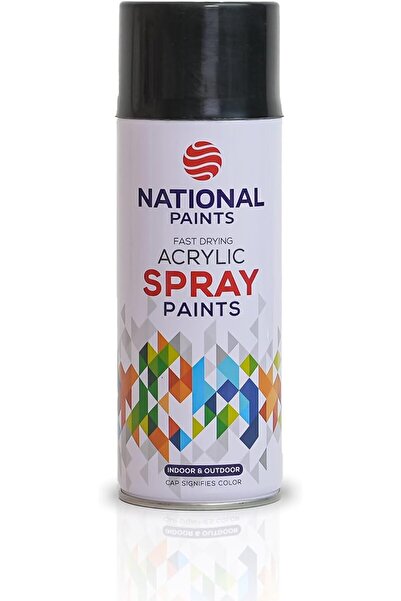 NATIONAL PAINTS Fast Drying Acrylic Spray Paint - Black Gloss 201
