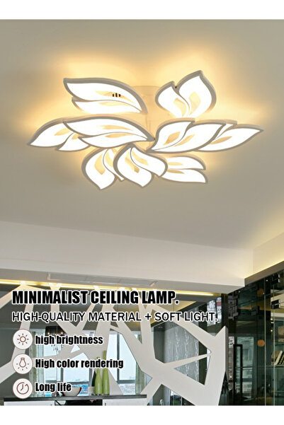 Generic Simple, modern and elegant household LED ceiling lamp with creative acrylic design