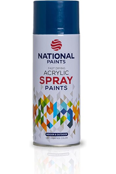 NATIONAL PAINTS بخاخ طلاء أكريليك سريع الجفاف - أزرق داكن 213