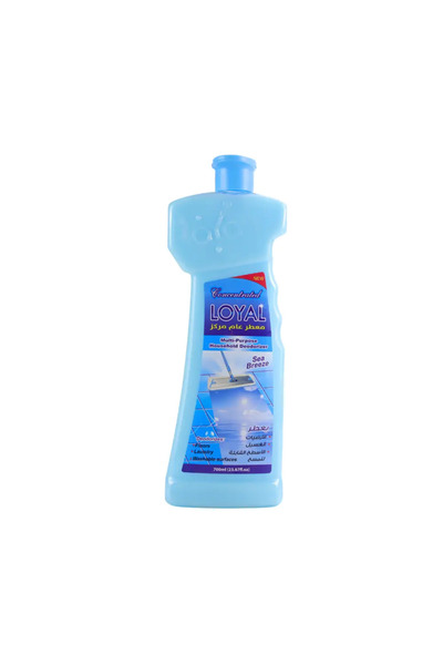 Loyal Concentrated Multi-purpose Household Deodorizer with Sea Breeze Fragrance- 700ml
