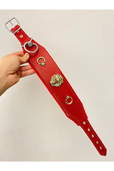 Sürmeli Tasma Puppy Kangal Dog Collar Genuine Leather 1St Grade Class Red