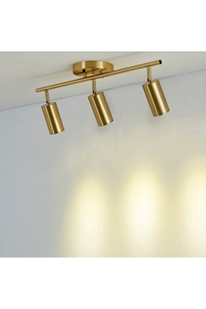 trandafi led LED Spot Wall Light GU10 30W, Gold, Warm Light (AP705-3FGD)