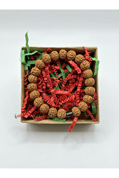 SİHİRLİDÖNÜŞÜMLERKULÜBÜ Rudraksha (Radruska) Tohumu Bileklik