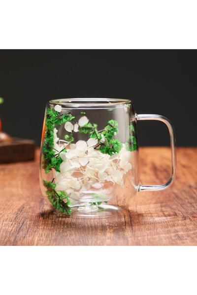OEM Dried flower mug, double wall, borosilicate glass, thermal insulation, 250 ml, transparent, green