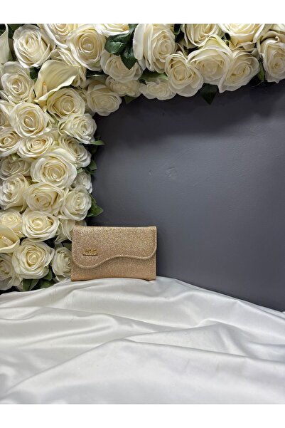 MİOSSA Women's Silvery Shaped Wallet