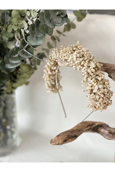 Limelia تاج سيبسو الأبيض - تاج الأمومة - تاج الزفاف - تاج الزهرة الجافة - إكسسوار العروس