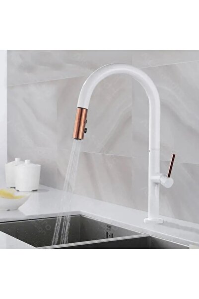 Alessandro DESIGN Baterie Bucatarie cu Dus Extractibil, Alama Sanitara, Alb, ...