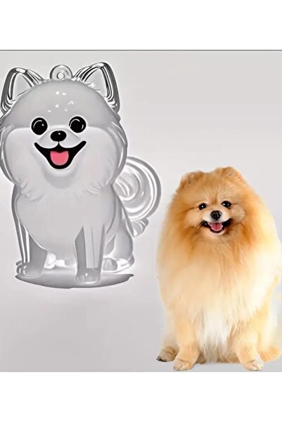 Yaratıcı sanatlar atölyesi Capsulă transparentă de depozitare a părului de câ...