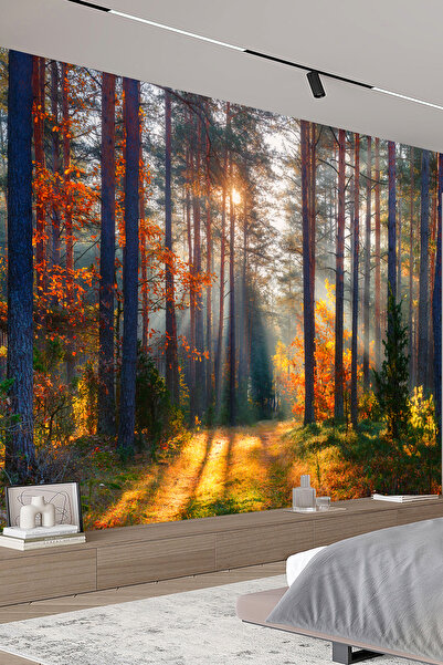 dreamwall Sonbahar Ormanı Gün Işığı Manzara Tekstil Duvar Kağıdı