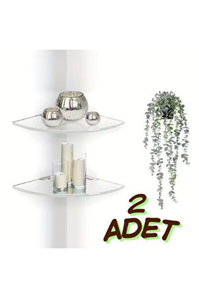 evimdeyokyok Kristal Netlik Serisi: Crystal-Line 8mm Akrilik Duvar Rafı | İki...