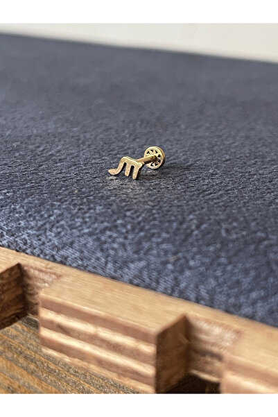 Rupen Kraft 316 L Cerrahi Çelik Akrep Burcu Altın Tragus Piercing