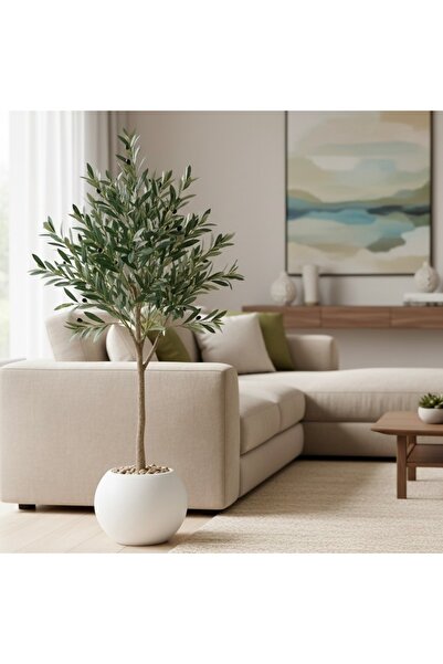 CENTRHOME شجرة زيتون بطول 130 بمركن مكور