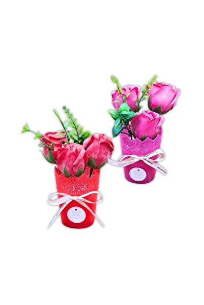 Meven Set Beauty مزهرية بلاستيكية مع زهرة ملونة في علبة بلاستيكية شفافة، قطعة...